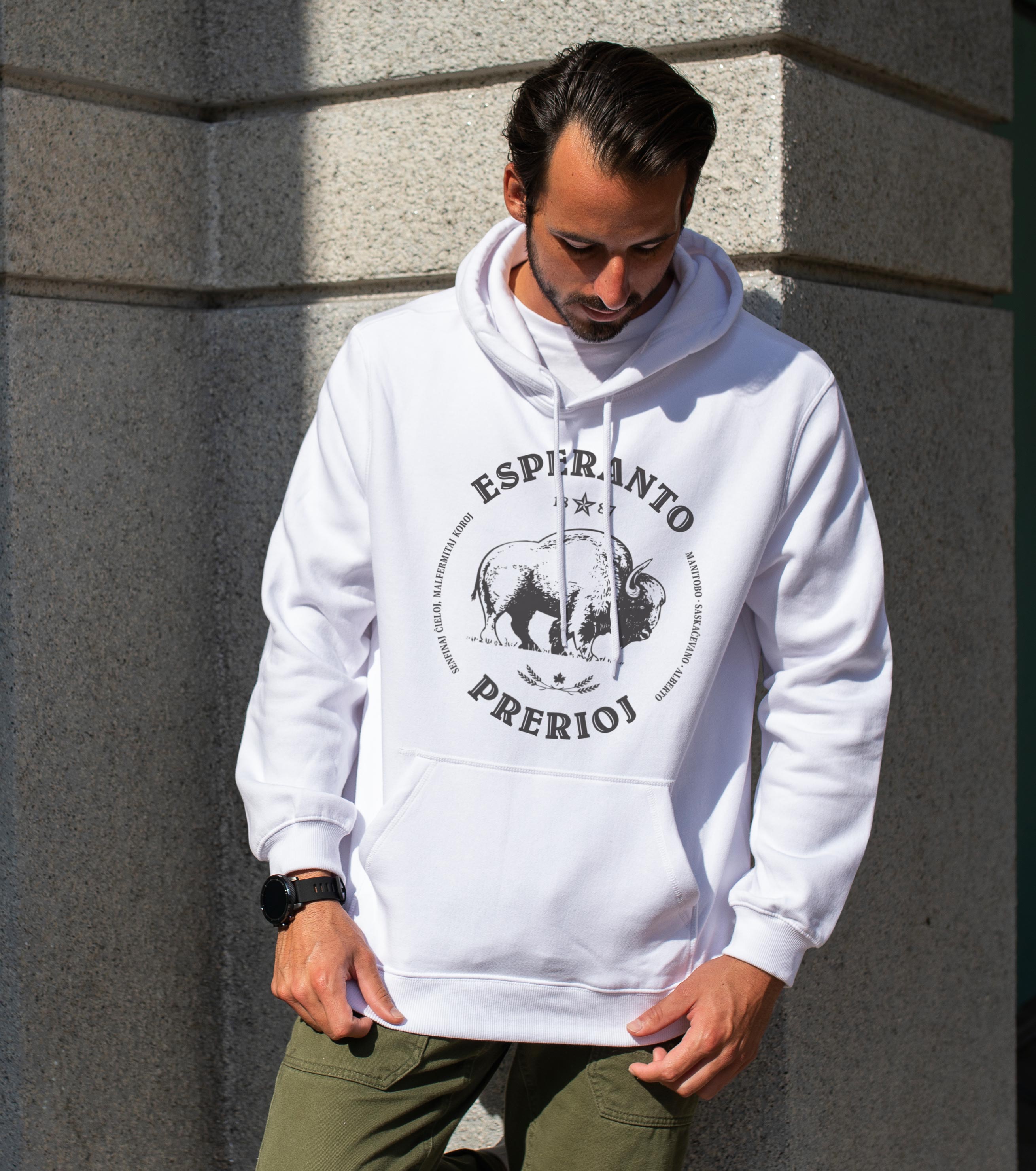 Esperanto Prerioj Unisex Pullover Hoodie